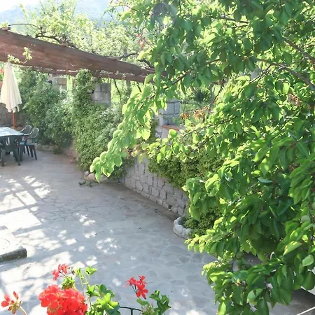 Apartment Aiali *